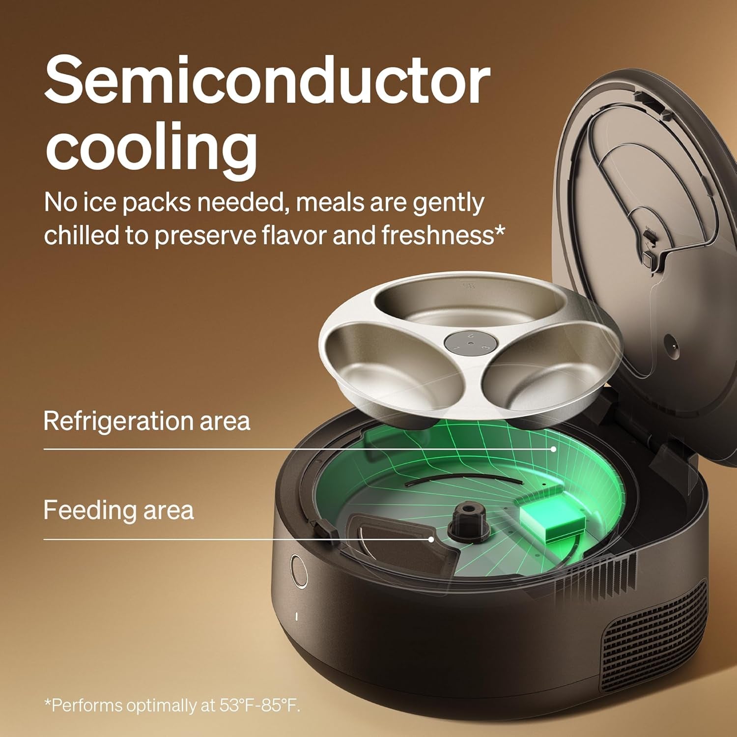 Automatic Wet Cat Feeder